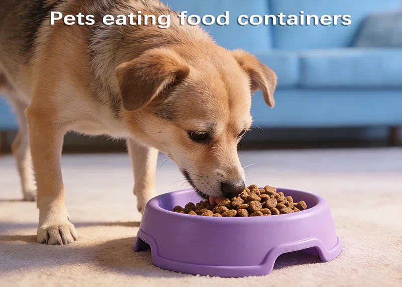 Pet Products